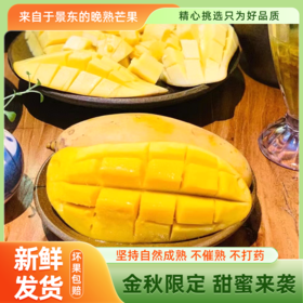 【产地直发】云南景东晚熟芒果10斤（净重9-9.5斤）礼盒装 清甜可口 金黄饱满
