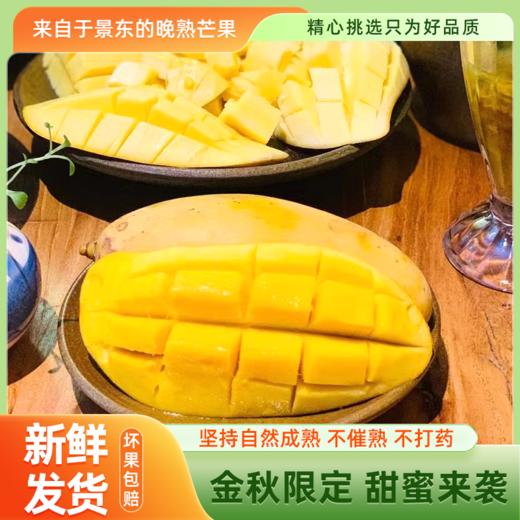【产地直发】云南景东晚熟芒果10斤（净重9-9.5斤）礼盒装 清甜可口 金黄饱满 商品图0