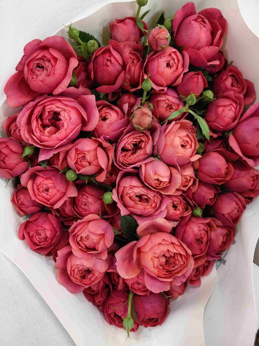 国产精品多头玫瑰花绝色果汁10支 商品图2