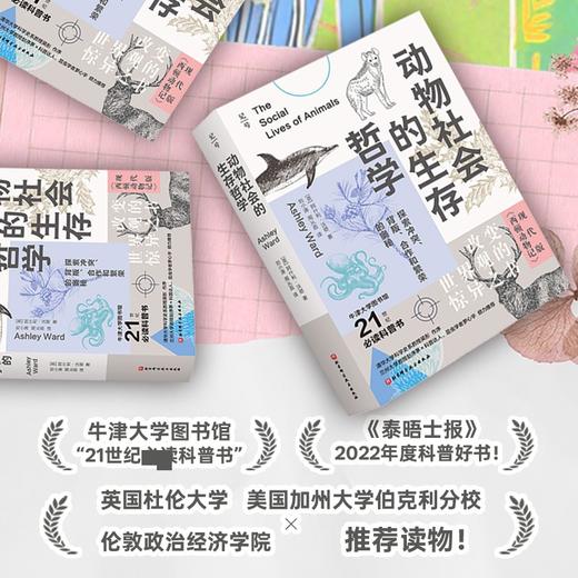 动物社会的生存哲学：探索冲突、背叛、合作和繁荣的奥秘 商品图3
