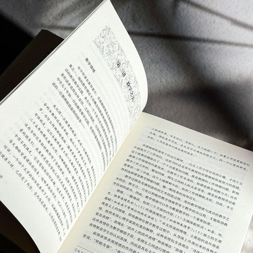 教育美学十讲 大夏书系 通识教育 中小学教师教育理论 杨斌 商品图9