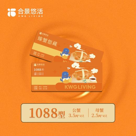 【合景悠活】苏州阳澄湖大闸蟹 产地直供 源头正品 商品图2