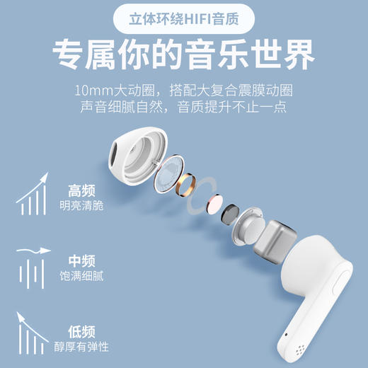 新科/Shinco真无线蓝牙耳机GT11—rxs 商品图1