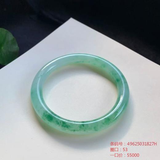 高货飘花翡翠手镯 传家宝温润圆满中式翡翠手镯49625031827H（一口价） 商品图0