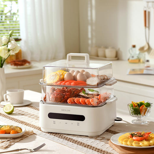 德世朗DDQ-HG125多功能电蒸锅—rxs 商品图0