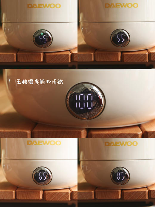 【一壶从早喝到晚】大宇巨无霸烧水杯D13S  双层奥氏体不锈钢 隔热防烫 五段调温 断电保温约18h 1.2L大容量 商品图9