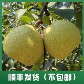 2025年砀山梨-预售（发顺丰快递，不包邮）