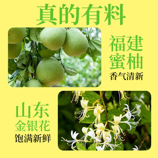 瑞果宜金银花柚水植物养生饮 0糖 0脂 0能量 大瓶清润一整天 商品图3