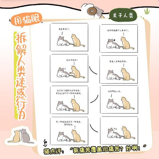 此处有猫 允许降落 软萌猫咪生活哲学漫画幽默风趣 漫画绘本猫咪生活日常情感共鸣 商品图1