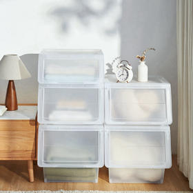 天马（TENMA）宜得利家居 抽拉式翻盖收纳箱书本玩具衣物收纳盒河马口整理箱