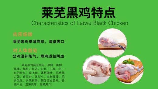 ——————莱芜黑鸡598型（2只鸡）（此产品为礼品卡）（代发） 商品图2
