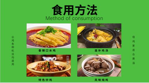 ——————莱芜黑鸡598型（2只鸡）（此产品为礼品卡）（代发） 商品图3