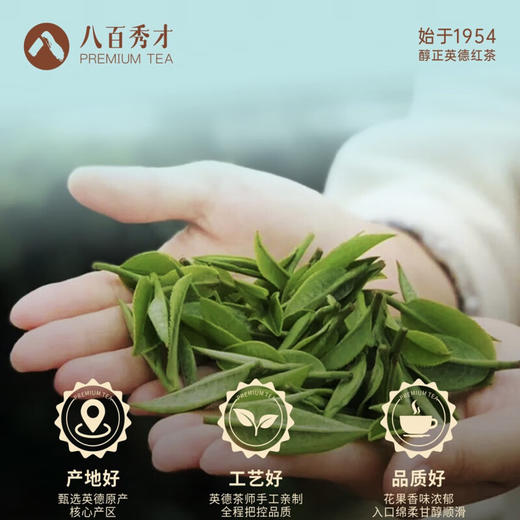 【醇香型】八百秀才1954英红九号礼盒装160g 商品图4