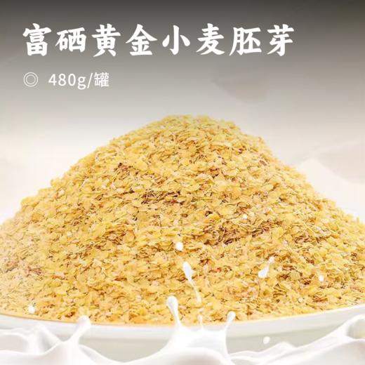 富硒黄金小麦胚芽 | 精选优质小麦 纯胚芽 纯原味 富含多种维生素 配料干净 即冲即饮 健康搭配 商品图0
