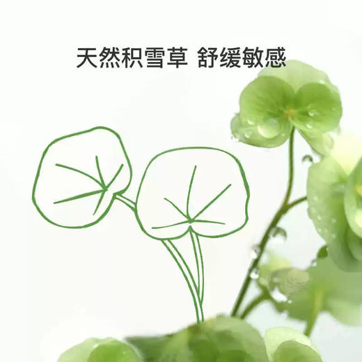 亲宝宝 3+儿童水润保湿霜 商品图3