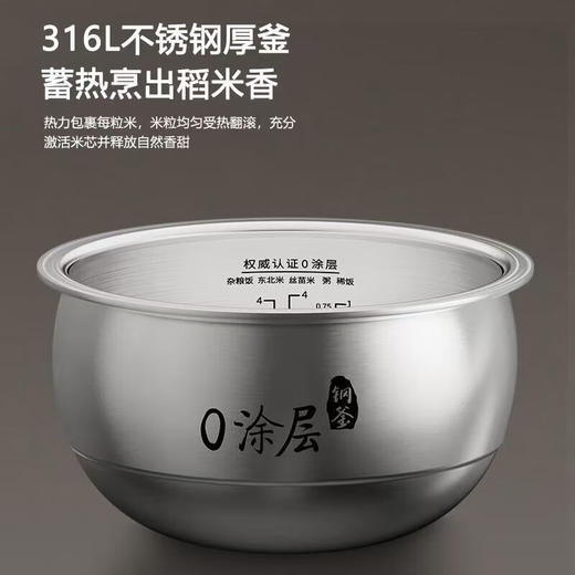 九阳F-20F081L 0涂层钢釜电饭煲[DQ6] 商品图1