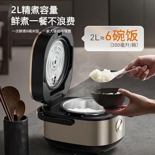 九阳F-20F081L 0涂层钢釜电饭煲[DQ6] 商品图3