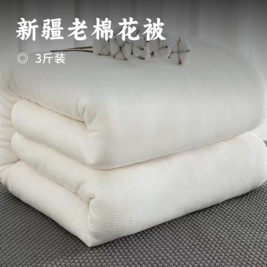 新疆老棉花被」甄选好棉 新彊一级长绒棉 蓬松柔软 保暖性强 透气性好 商品图0