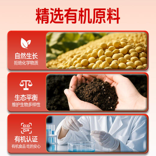 食圣有机腐乳 300g*2瓶 商品图12
