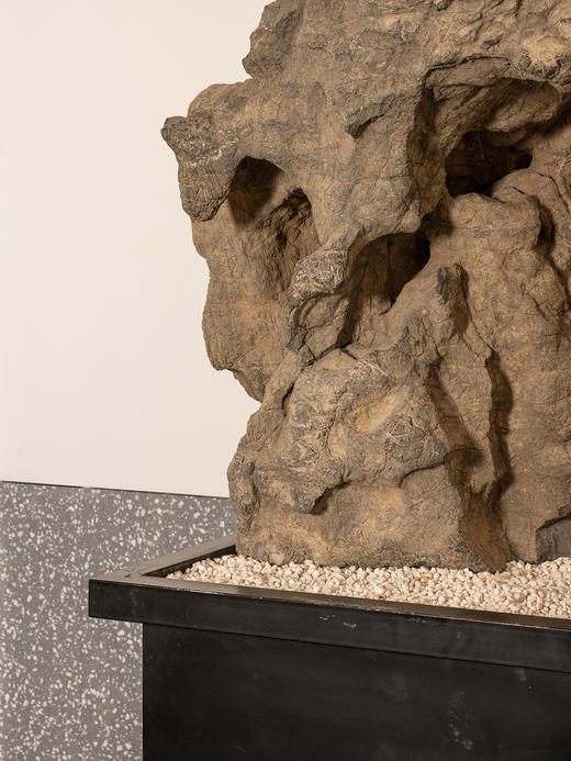 明	灵璧石雄鹰高瞻远瞩园林赏石 商品图3