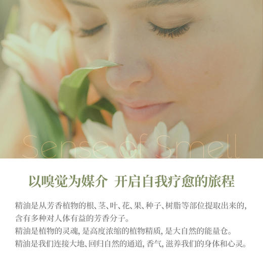 【伟大的香气由你开始】香气原点·调香大师礼盒香水材料包植物香薰精油 商品图2