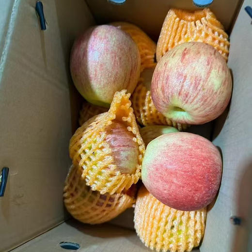 云南米奇拉苹果🍎2025新果上市啦[哇]
口感脆甜多汁，果香浓郁！每一口都是自然的馈赠～独家引进云南优质品种，果肉细腻无渣 商品图2