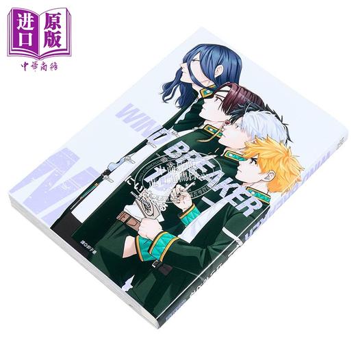 预售 【中商原版】漫画 WIND BREAKER 防风少年 第19集 にいさとる 台版漫画书 尖端出版社 商品图1