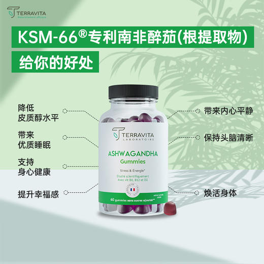 【暖白专属链接】法国TERRAVITA泰乐维塔南非醉茄 情绪软糖 降低皮质醇水平 商品图1