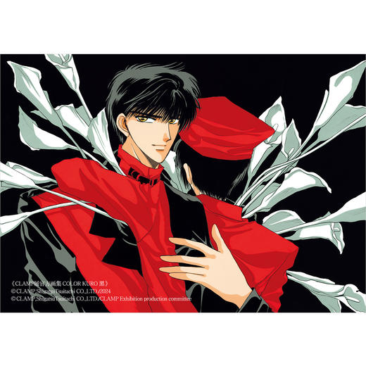 现货+实拍！满100元加赠1张天角纪念卡【双册特典版】CLAMP展官方画集黑白套装附2张冷烫工艺包边色纸+随书赠品：复制画卡《黑》《白》各3款 COLOR KURO SHIRO 商品图10