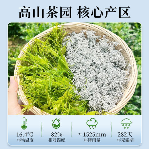 茶马世家张家界莓茶龙须芽尖非野生袋装自己喝125g 商品图1