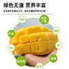 【产地直发】云南景东晚熟芒果10斤（净重9-9.5斤）礼盒装 清甜可口 金黄饱满 商品缩略图2