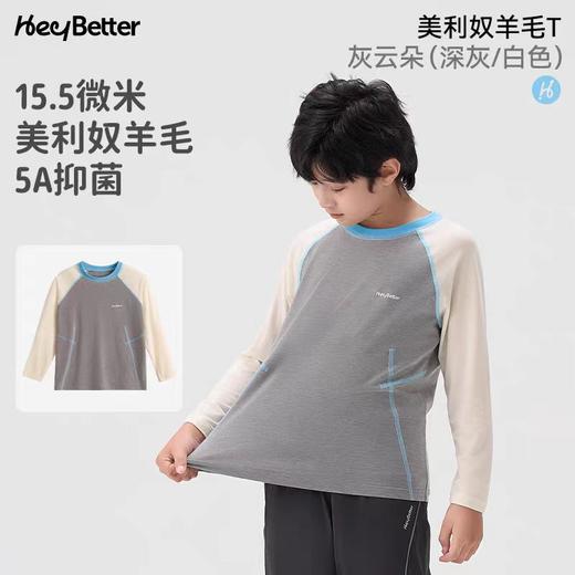 （包邮）HeyBetter儿童新美丽奴羊毛长袖T（三种颜色） 商品图3