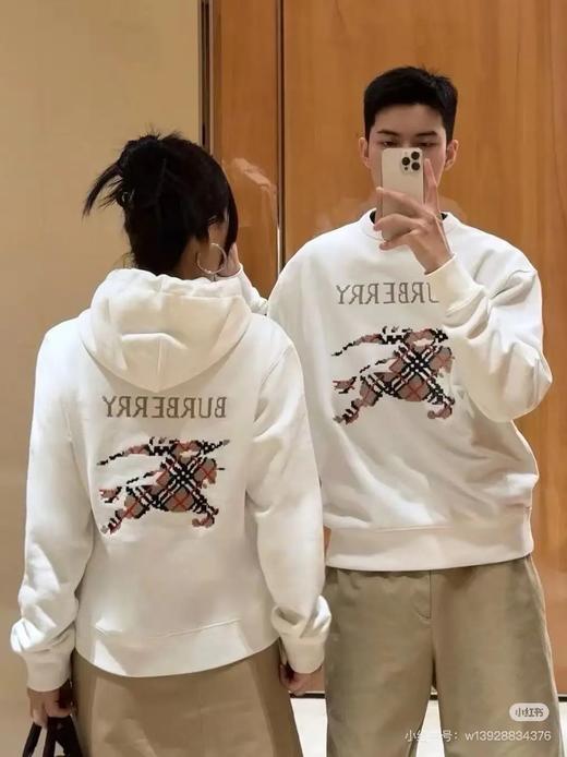 Bu简约经典战马刺绣情侣款毛圈连帽卫衣 商品图0