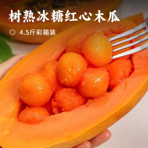 树熟冰糖红心木瓜 | 肉质细腻绵密 皮薄且香甜 鲜嫩又多汁 清甜爽口 果香浓郁 吃法多样 商品图0