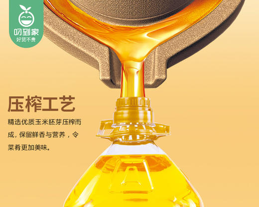 粤润玉米王压榨玉米胚芽油/1组（5L+赠植物调和油400ml）生产日期：25年8月补单专用 商品图1