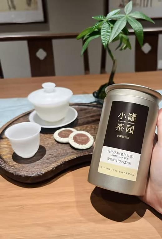 小罐茶园 金标系列白牡丹茶2.0版 商品图9