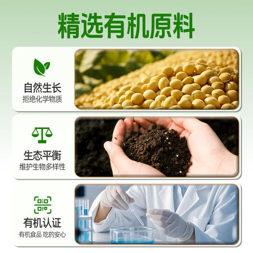 食圣有机腐乳 300g*2瓶 商品图4