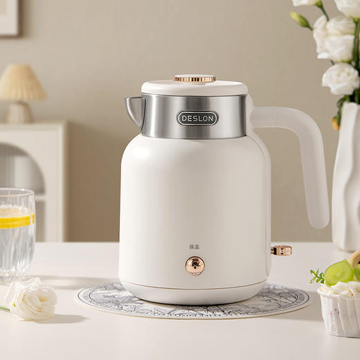 德世朗DDQ-SH203电热水壶—rxs 商品图2