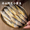 舟山野生小黄鱼 | 舟山本地雷达网海捕 肉质丰腴肥美 油脂丰厚鲜嫩 新鲜刺少 蒜瓣肉紧实有弹性 条条精选营养丰富 商品缩略图0