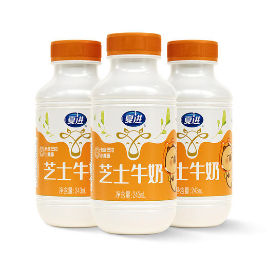 夏进芝士牛奶243ml×15瓶 商品图3