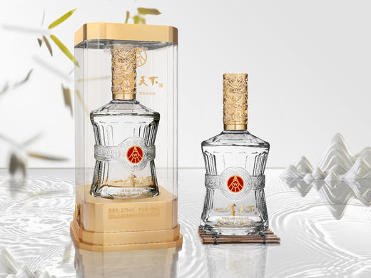 宜宾五粮液股份有限公司出品 - 【五粮液·一尊天下】 商品图2