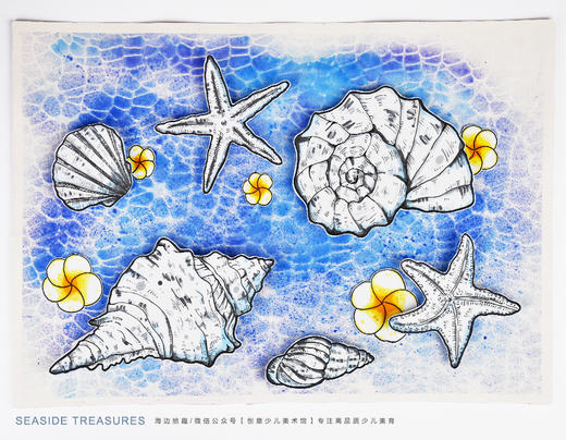 《海边拾趣：梦幻波光里的贝壳》海洋海星海螺【自动发货：下单后，点击手机短信中收到的链接，即可获取文件下载的链接；如有任何问题，可添加客服微信hm33268获得帮助】 商品图1