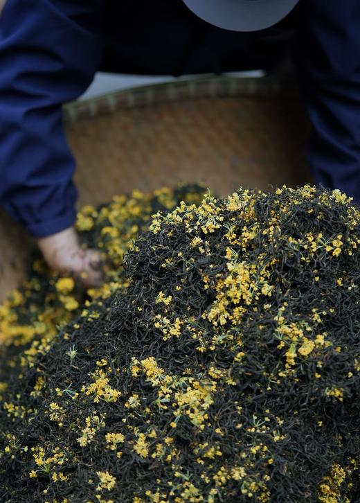 【桂花红】金桂窨制 高扬桂花香 清新爽口 入口清甜 60g*5袋 商品图1