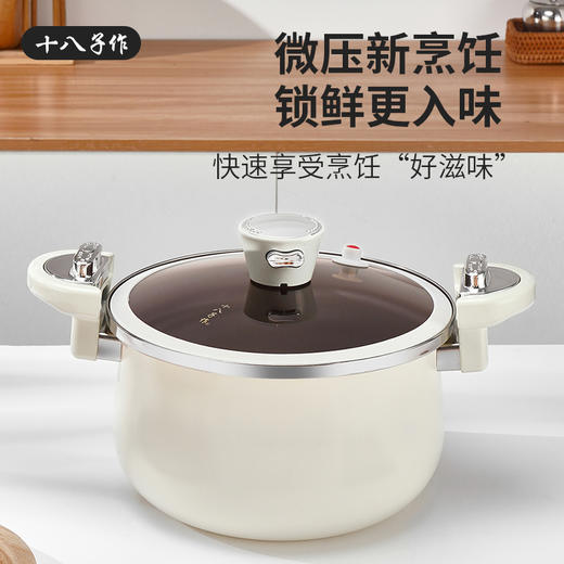 十八子作爱家微压炖锅HM－205DG—rxs 商品图0