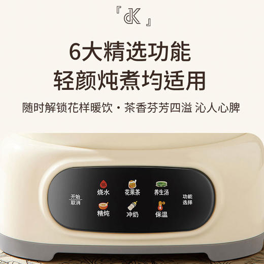 德世朗DDQ-SH229花茶壶—rxs 商品图3