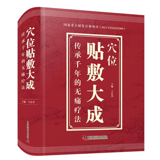 穴位贴敷大成 传承千年的无痛疗法 商品图1