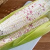 【广西花糯玉米】香甜软糯，颗粒饱满 商品缩略图1