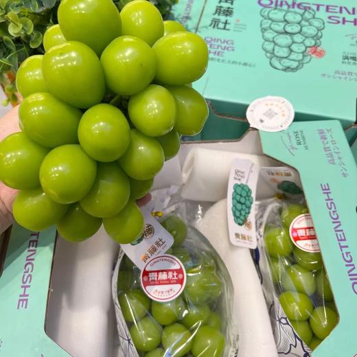 青藤社晴王阳光玫瑰青提 商品图8