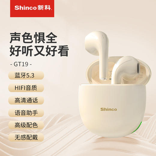 新科/Shinco真无线蓝牙耳机GT19—rxs 商品图0