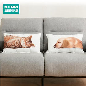  沙发椅子含芯抱枕靠垫柔软立体卡通